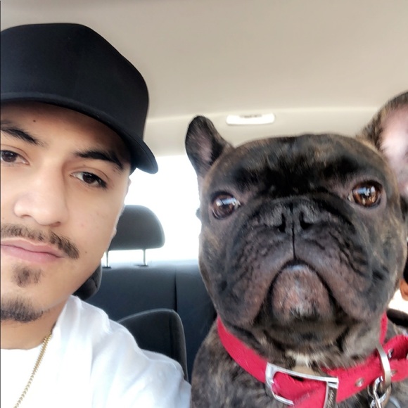 Meet your Posher, Daniel - Picture 1 of 1